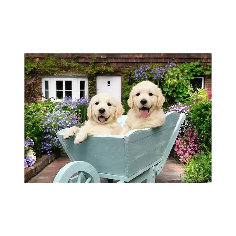 Ravensburger Golden Retriever 200 Piece Jigsaw Puzzle