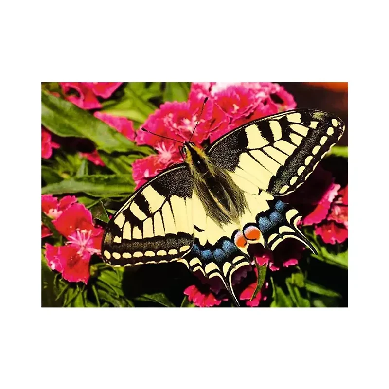 Ravensburger Butterfly 500 Piece Jigsaw Puzzle
