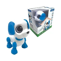 Robotic Mini Dog