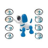 Robotic Mini Dog
