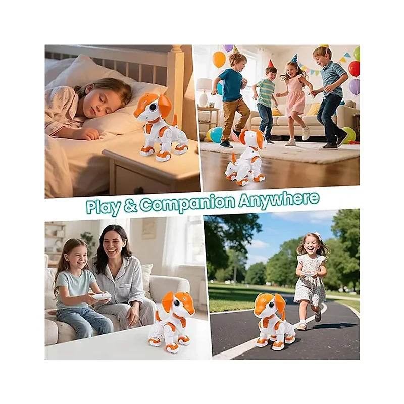 R/C Robotic Intelligent Dog