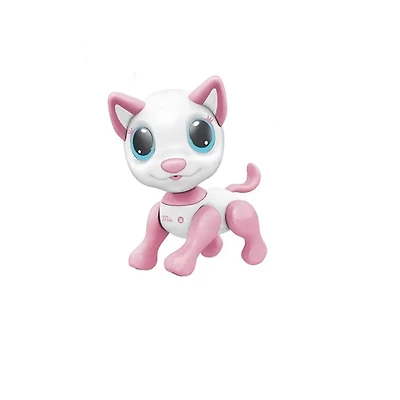 Robotic Intelligent Cat