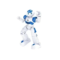 R/C Intelligent Robot (Random Pick)