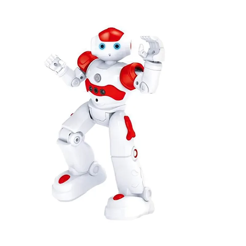 R/C Intelligent Robot (Random Pick)