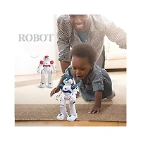 R/C Intelligent Robot (Random Pick)