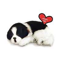 Perfect Petzzz Border Collie