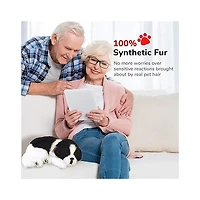 Perfect Petzzz Border Collie