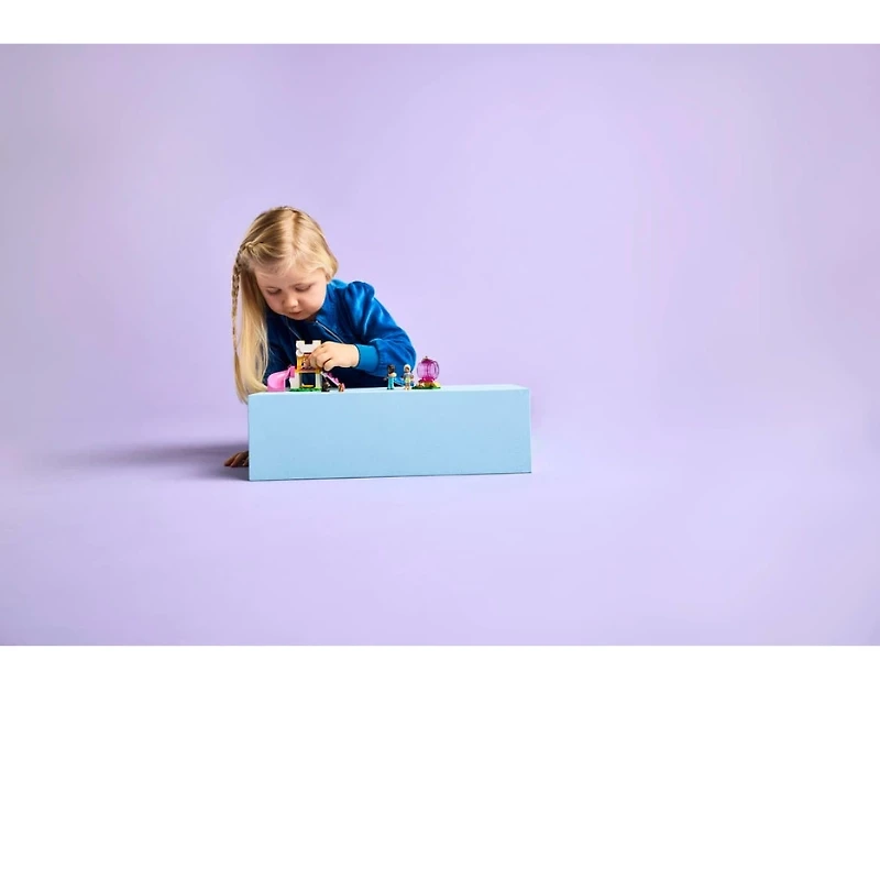 LEGO Friends Puppy Playground 66 Pieces