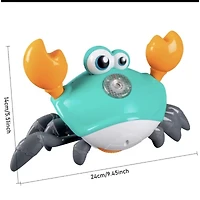 SPRAY CRAB W/LIGHT & MIST
