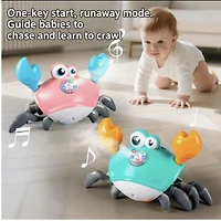 SPRAY CRAB W/LIGHT & MIST