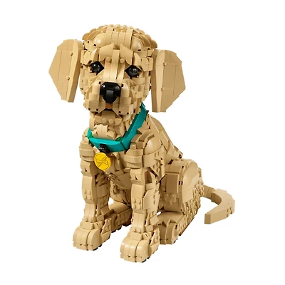 LEGO Icons – Golden Retriever Puppy 2102 Pieces