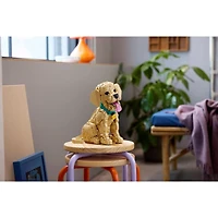 LEGO Icons – Golden Retriever Puppy 2102 Pieces