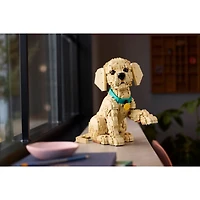 LEGO Icons – Golden Retriever Puppy 2102 Pieces