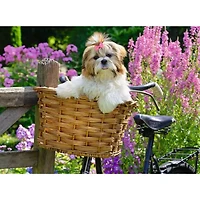 Ravensburger Sweet Little Dog Jigsaw Puzzle 100 Pieces
