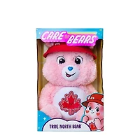 Care Bears True North Bear 14 Inch