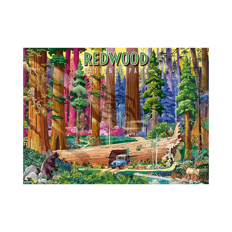 REDWOOD NATIONAL PARK Jigsaw Puzzle 500 PCS