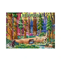 REDWOOD NATIONAL PARK Jigsaw Puzzle 500 PCS