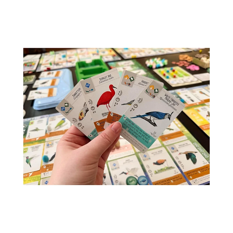 Stonemaier Games: Wingspan Americas Expansion