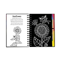 Scratch & Sketch Garden Fairies
