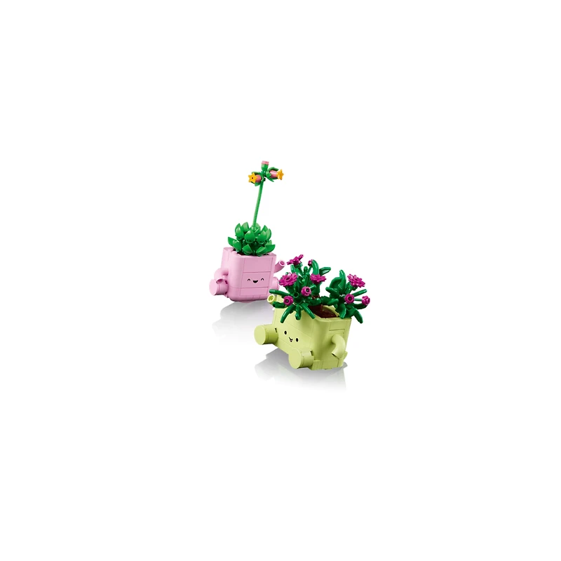 LEGO Botanicals Rocking Plants 253 Pieces