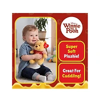 TY Winnie The Pooh Floppy