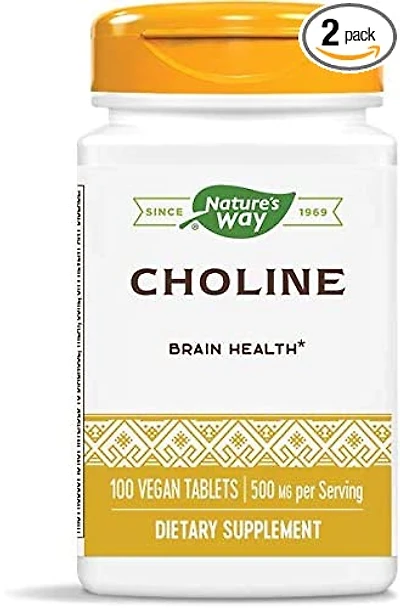 Choline 500mg (100 tabs)