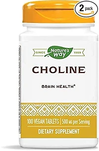 Choline 500mg (100 tabs)