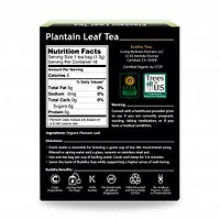 Plantain Leaf Tea