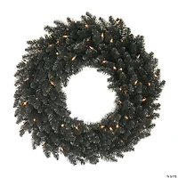 Vickerman 24" Black Fir Christmas Wreath with Warm White LED Lights