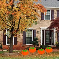 17" x 15 1/4" Pumpkin Yard Signs - 4 Pc.