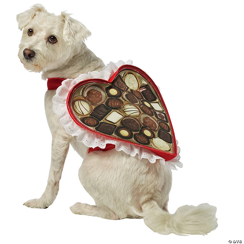 Chocolate Candy Box Dog Costume