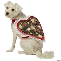 Chocolate Candy Box Dog Costume