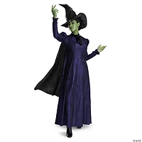 Women’s Deluxe Wicked™ Elphaba Costume