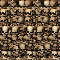 Catacombs Skull Plastic Backdrop