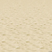 Insta-Theme Beach Backdrop