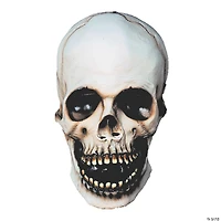 Adults Skull Halloween Mask