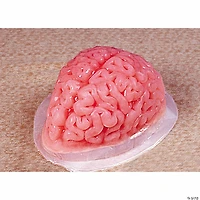 9 3/4" Brain-Shaped Clear Gelatin Mold