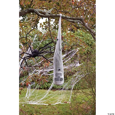 Skull in Spider Cocoon