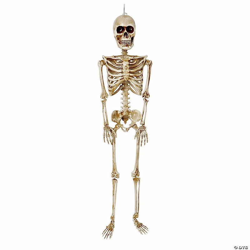 36" Posable Articulated Skeleton Halloween Decoration