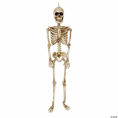 36" Posable Articulated Skeleton Halloween Decoration