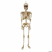 36" Posable Articulated Skeleton Halloween Decoration