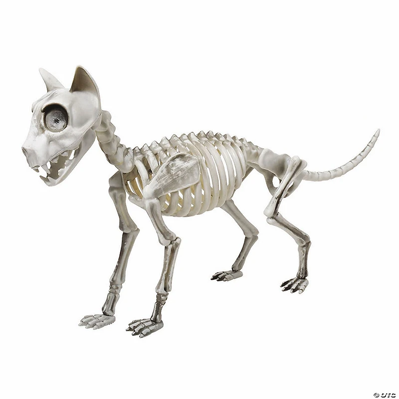 20" x 4" x 12" Articulated Skele-Cat Halloween Decoration