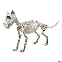 20" x 4" x 12" Articulated Skele-Cat Halloween Decoration
