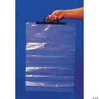 Bags 13X17 W/Handle - 300 Pc.
