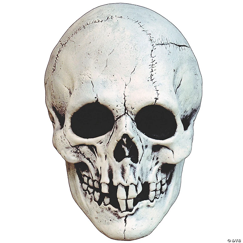 Adults White Night Owl Skull Plastic Overhead Mask - One Size