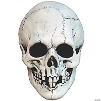 Adults White Night Owl Skull Plastic Overhead Mask - One Size