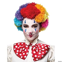 Adults Rainbow Clown Wig
