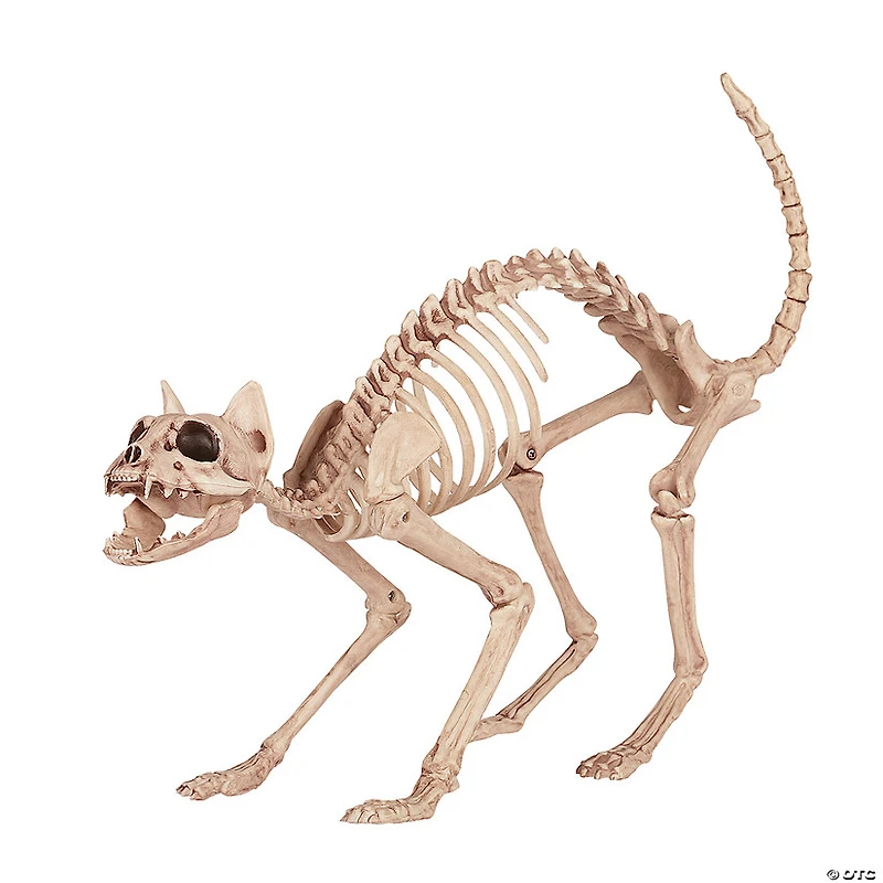 Skeleton Cat Decoration