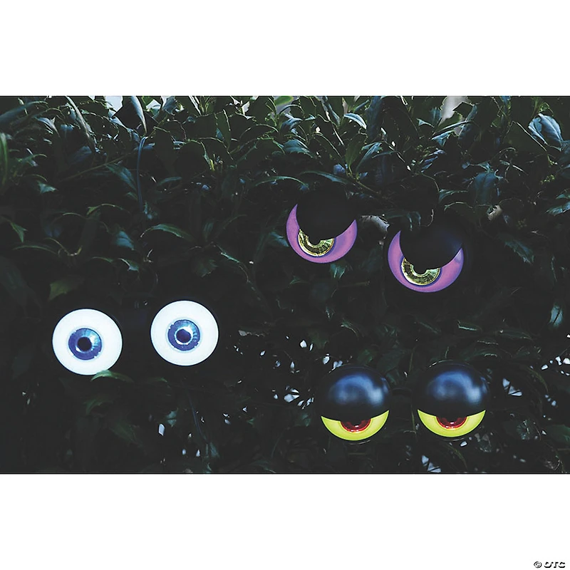 Adults Peeping Peepers