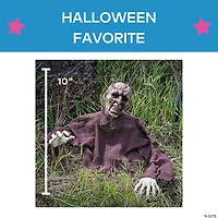 10" Brain Zombie Groundbreaker Halloween Decoration